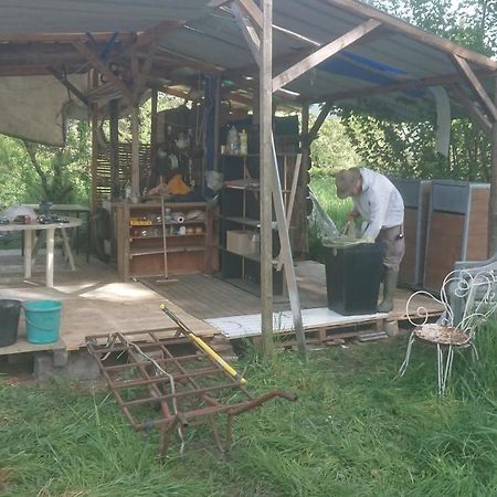 Yourte Rustique En Permaculture Creysse  المظهر الخارجي الصورة